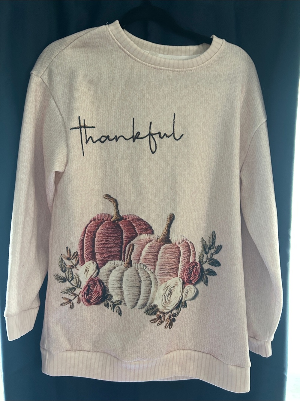 & Other Stories Blush Crewneck Sweater with Autumn Pumpkin Embroidery